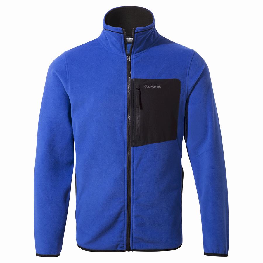 Chandails Craghoppers Corey Plus Homme Bleu | TQO7240PG