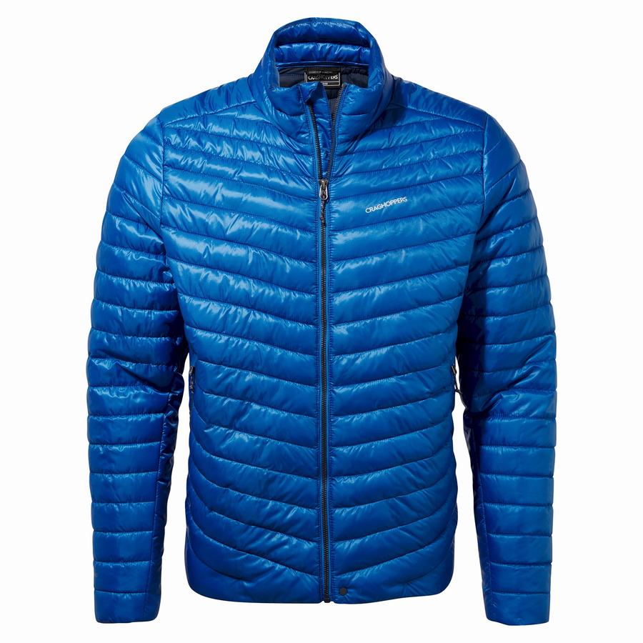 Vestes Craghoppers Insulated ExpoLite Homme Bleu | TAG814FN