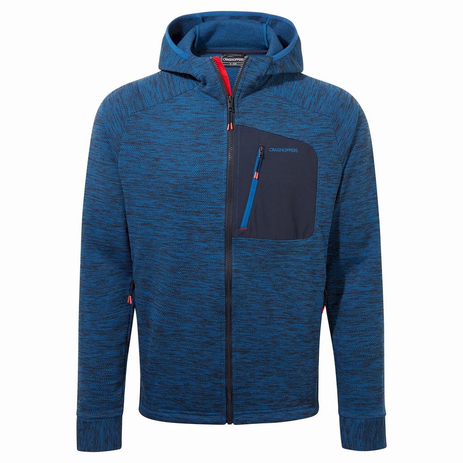 Vestes Craghoppers Tarbert Encapuchonné Homme Bleu | VCK6924TO