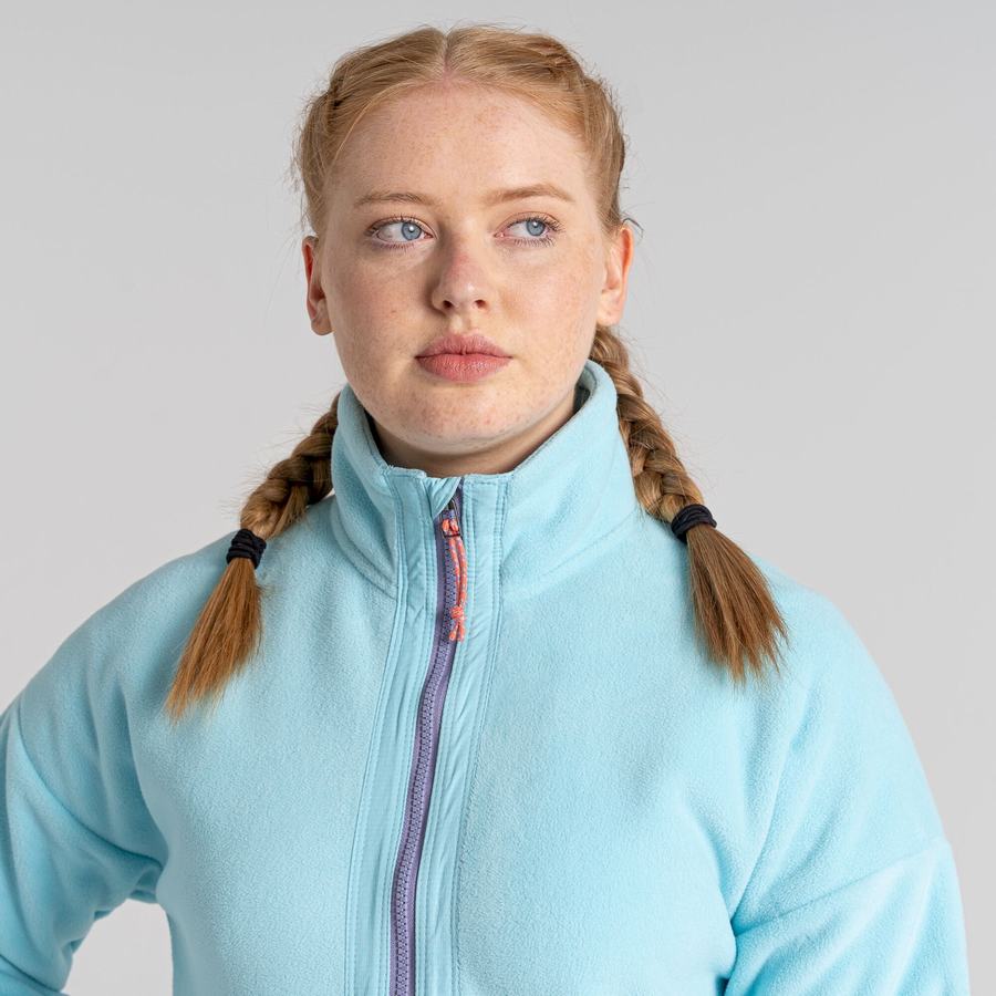 Chandails Craghoppers Spindle Half Zip Homme Turquoise Clair | RQC8358KP