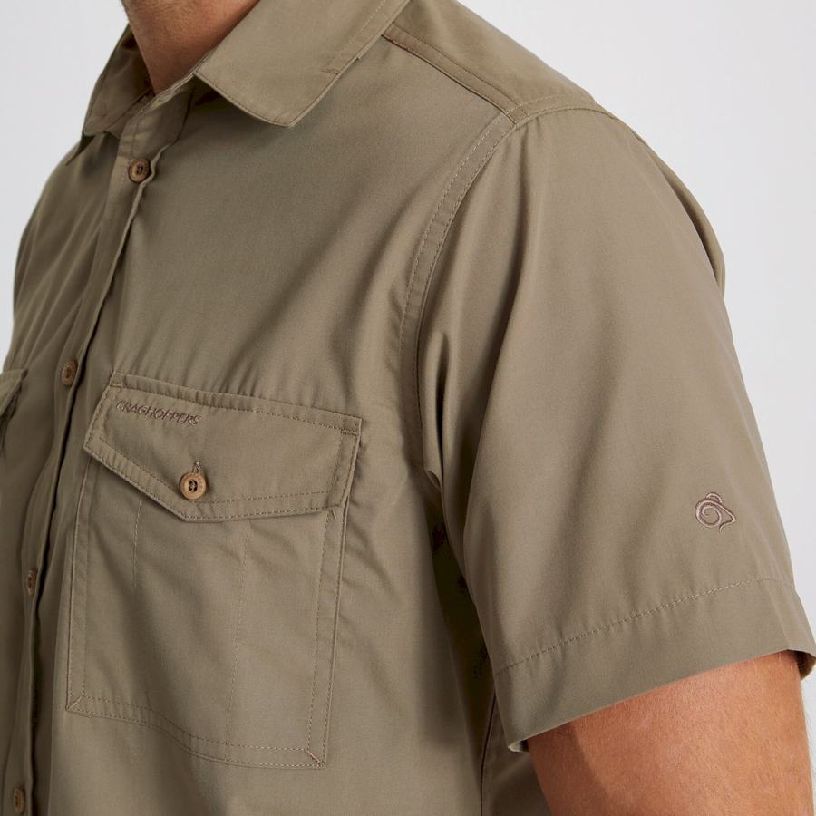 Chemises Craghoppers Kiwi Corta Sleeved Homme Vert Foncé | LJL80100JH