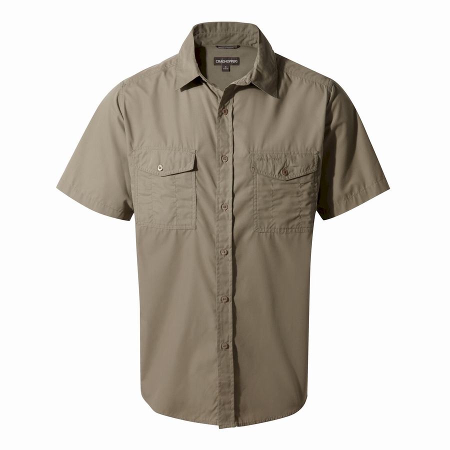 Chemises Craghoppers Kiwi Corta Sleeved Homme Vert Foncé | LJL80100JH
