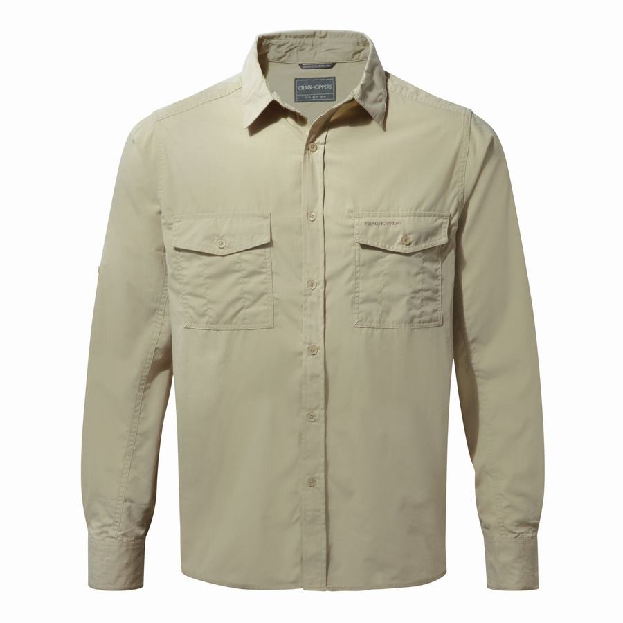 Chemises Craghoppers Kiwi Long Sleeved Homme Beige | SNR3562OI