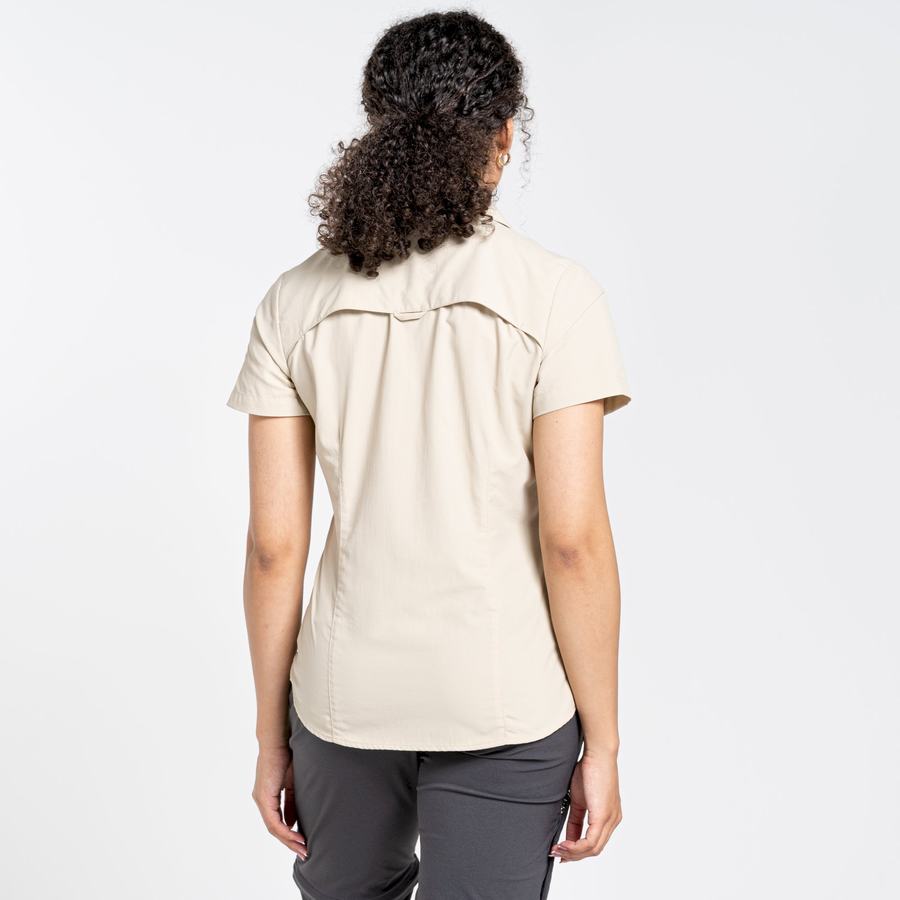 Chemises Craghoppers NosiLife Adventure II Corta Sleeved Femme Marron | AJH9267GM