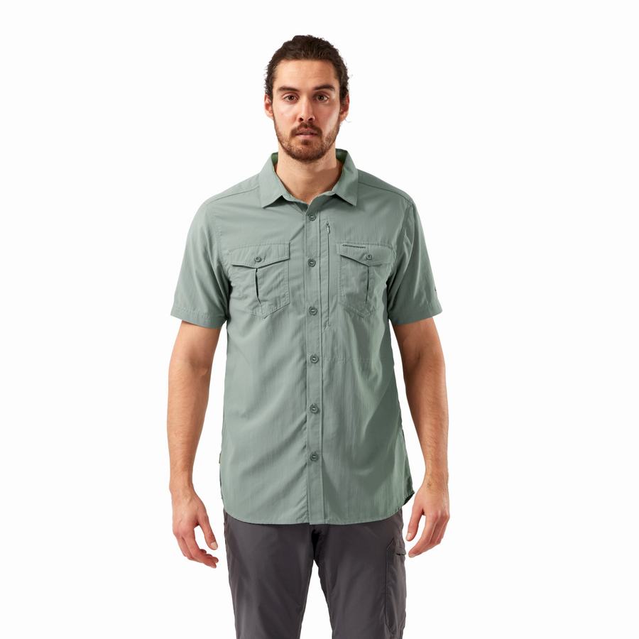 Chemises Craghoppers NosiLife Adventure II Corta Sleeved Homme Vert Olive | OUU263JE