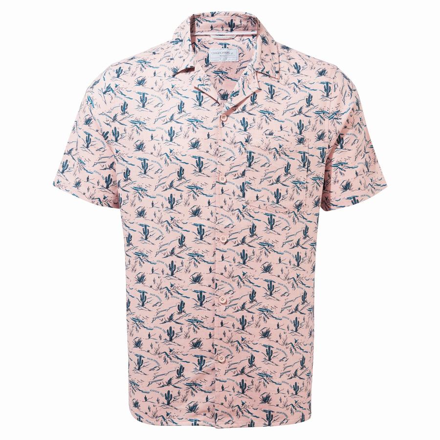 Chemises Craghoppers Nosibotanical Hula Corta Sleeved Homme Rose | IDI8446LI