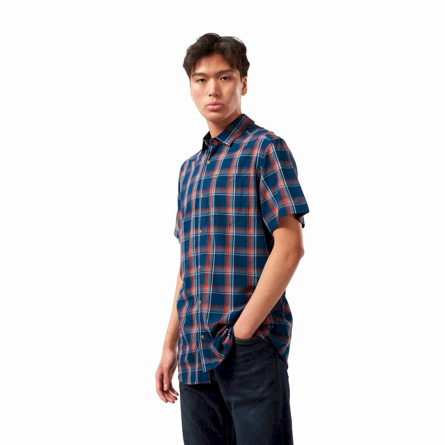 Chemises Craghoppers Rafie Corta Sleeved Check Homme Bleu Marine Bleu | LNG7013TJ