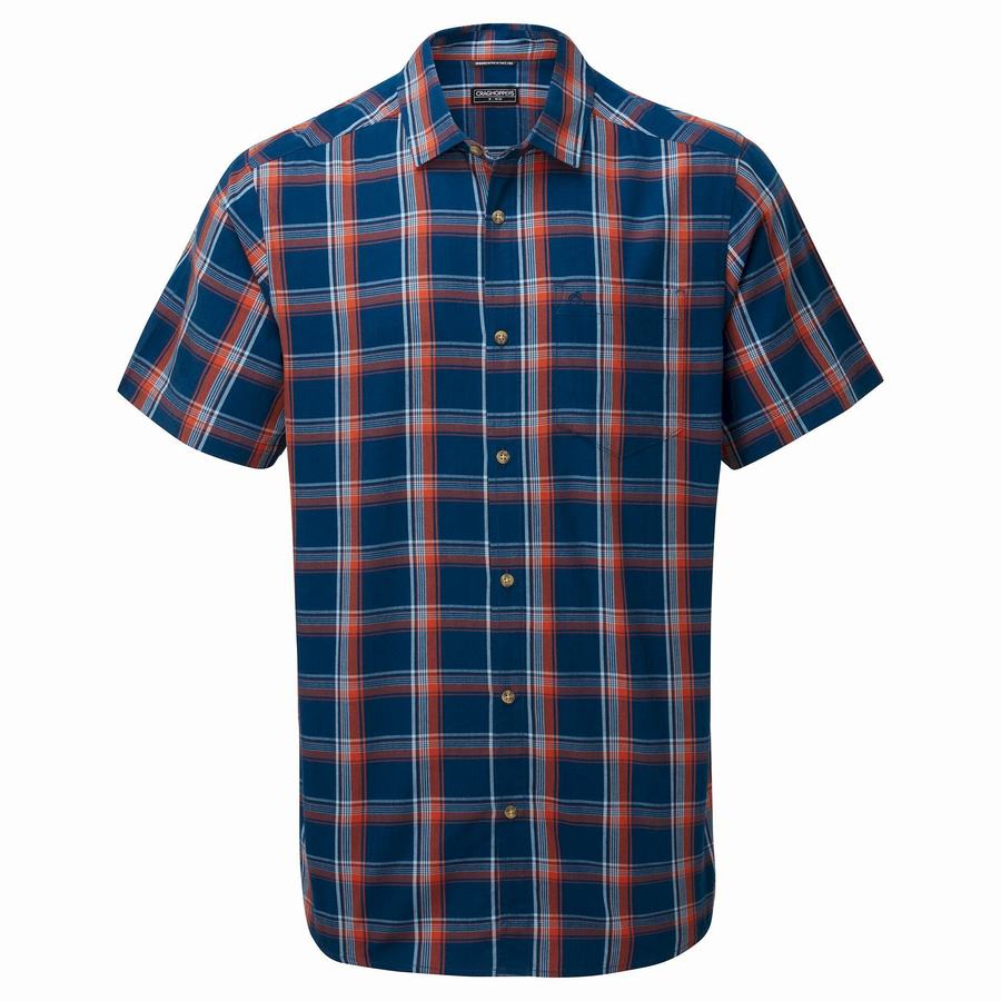 Chemises Craghoppers Rafie Corta Sleeved Check Homme Bleu Marine Bleu | LNG7013TJ