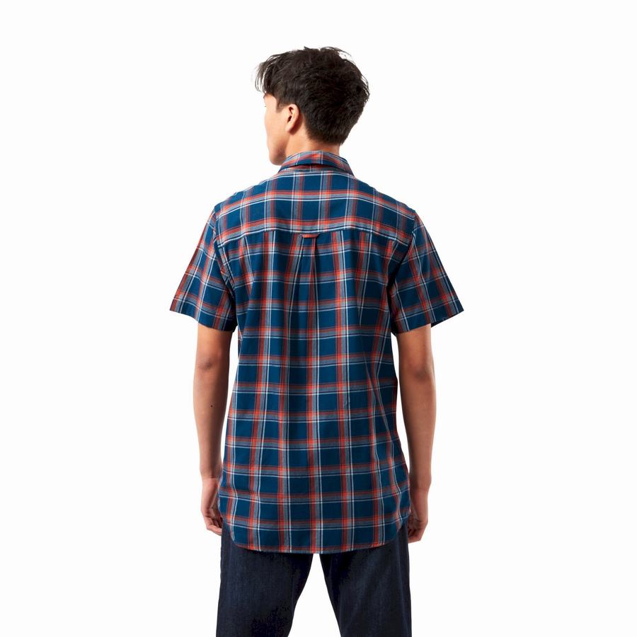 Chemises Craghoppers Rafie Corta Sleeved Check Homme Bleu Marine Bleu | LNG7013TJ