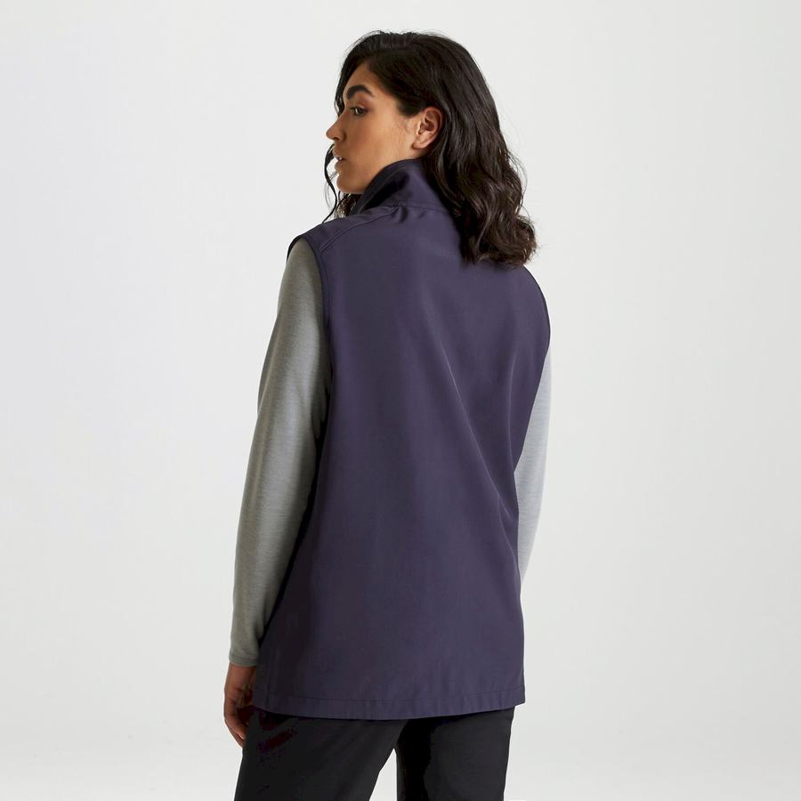 Gilet Craghoppers Expert Basecamp Softshell Vest Homme Bleu Marine | YTS395SS