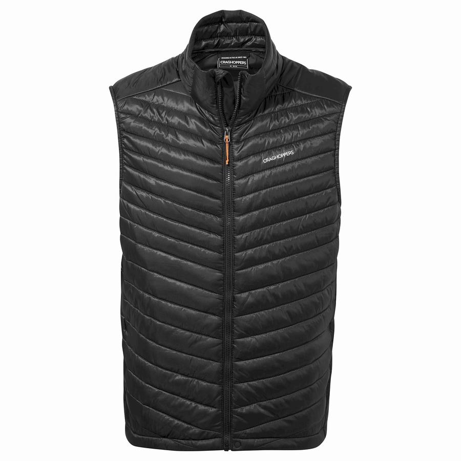 Gilet Craghoppers ExpoLite Insulated Vest Homme Noir | YTQ3914SI