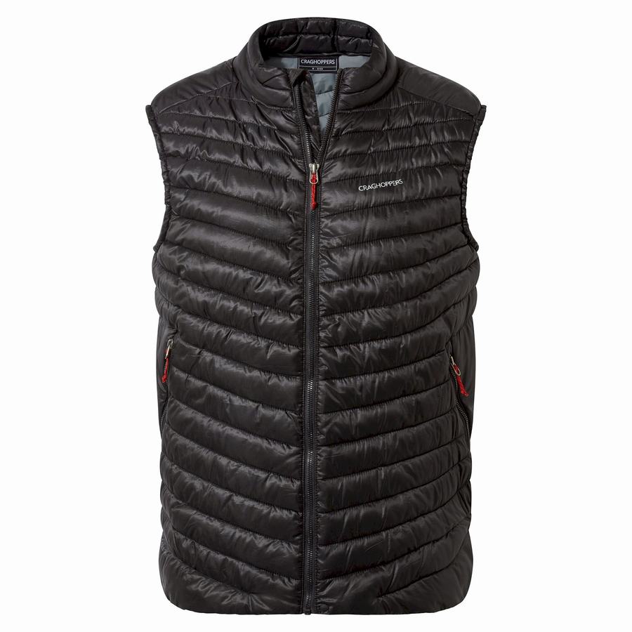 Gilet Craghoppers ExpoLite Vest Homme Noir | UGT9384TH