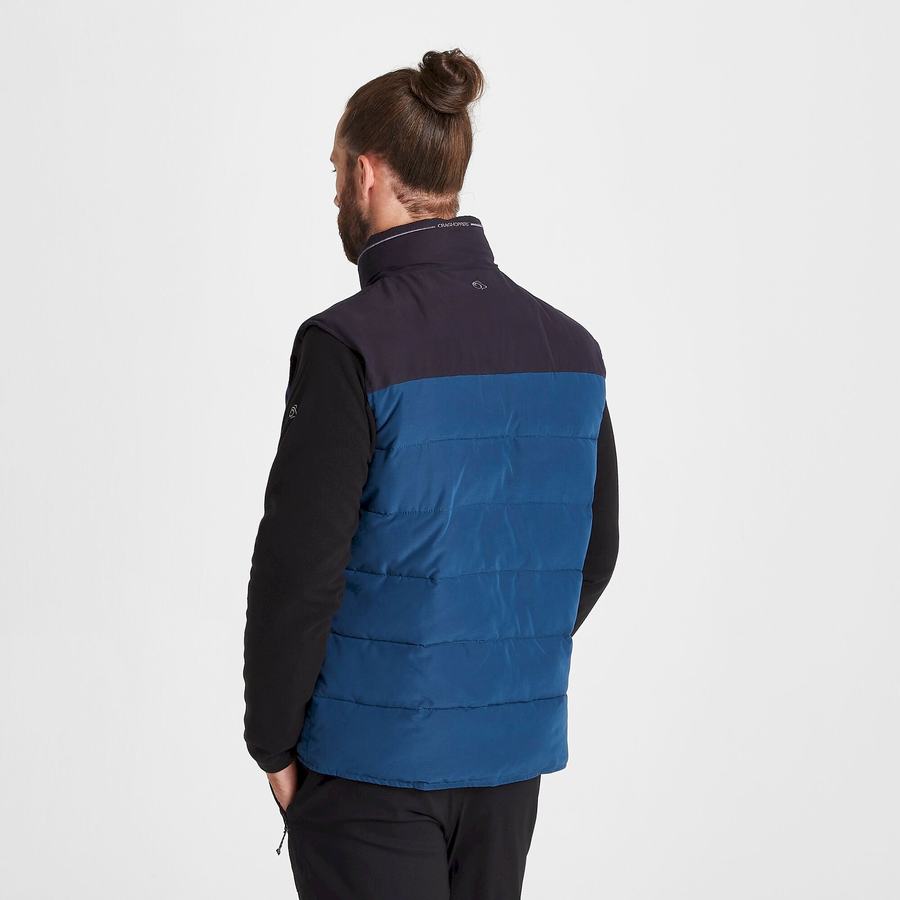 Gilet Craghoppers Trillick Downlike Homme Bleu Marine Bleu | SQD2363LS