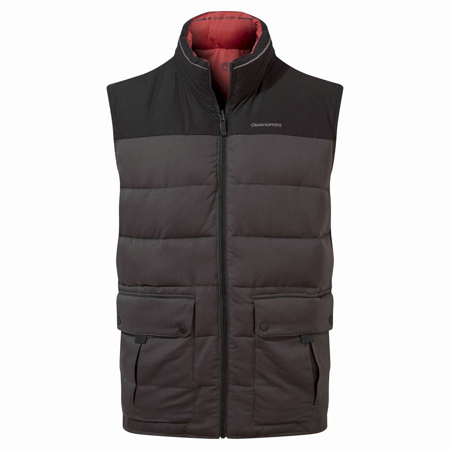 Gilet Craghoppers Trillick Downlike Homme Noir | UXL2719QM