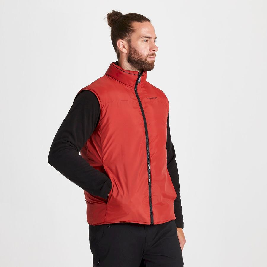 Gilet Craghoppers Trillick Downlike Homme Noir | UXL2719QM