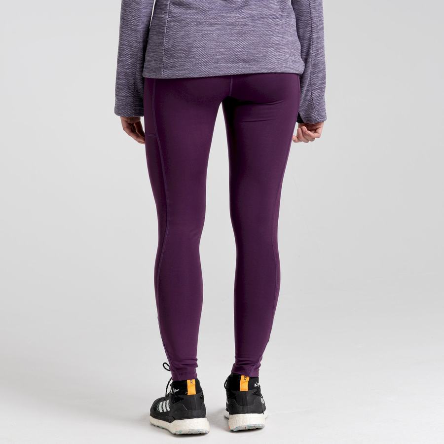 Leggings Craghoppers Kiwi Pro Femme Violette | PCV8556PK