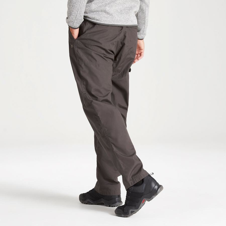 Pantalons Craghoppers Kiwi Classiche Homme Grise | AEP872OR
