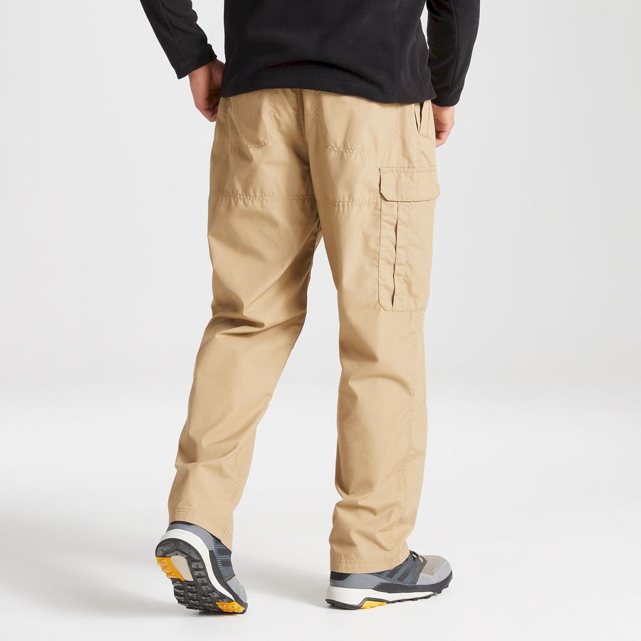 Pantalons Craghoppers Kiwi Classiche Homme Beige | GIW8178HP