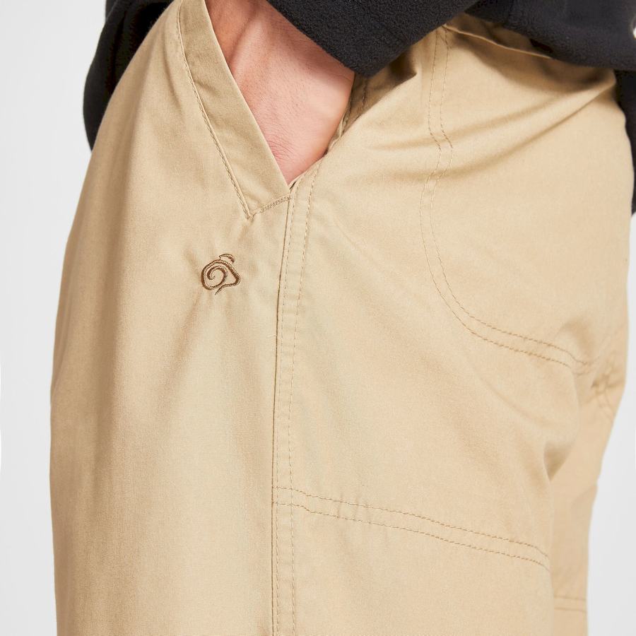 Pantalons Craghoppers Kiwi Classiche Homme Beige | GIW8178HP