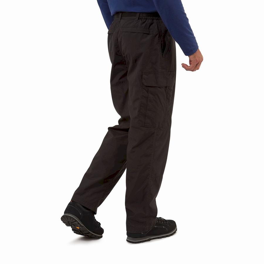 Pantalons Craghoppers Kiwi D'hiver Doublée Homme Noir | EKG1256GB