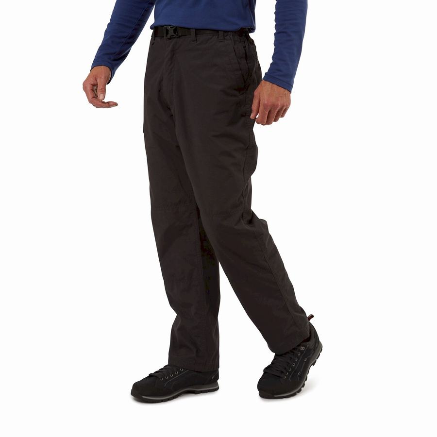 Pantalons Craghoppers Kiwi D'hiver Doublée Homme Noir | EKG1256GB