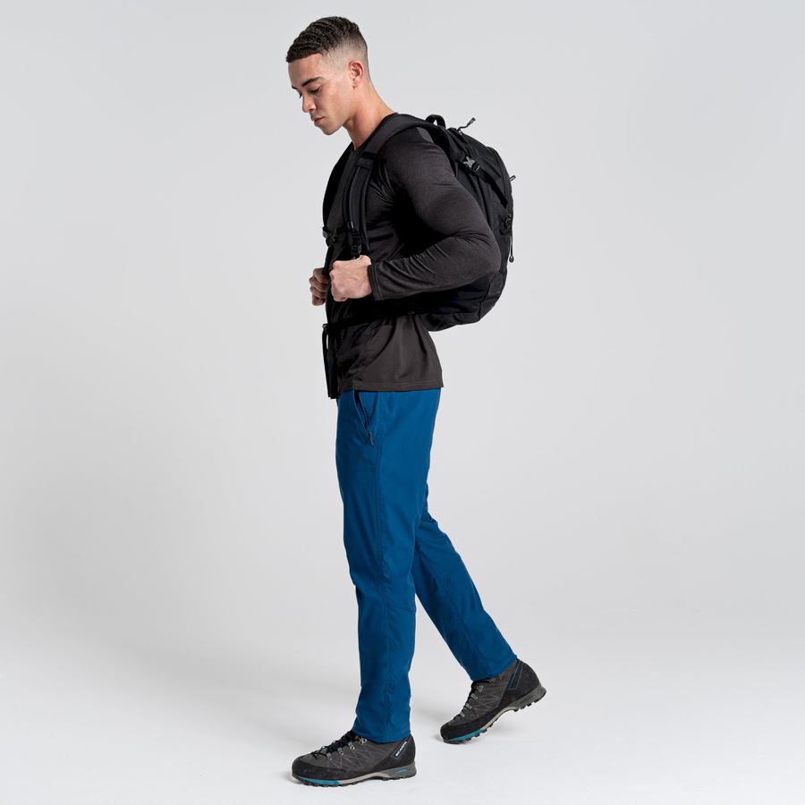 Pantalons Craghoppers NosiLife Pro Active Homme Bleu Marine Bleu | SGX3822DW