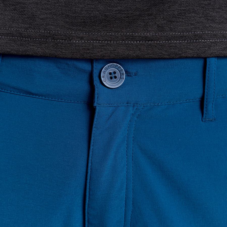 Pantalons Craghoppers NosiLife Pro Active Homme Bleu Marine Bleu | SGX3822DW