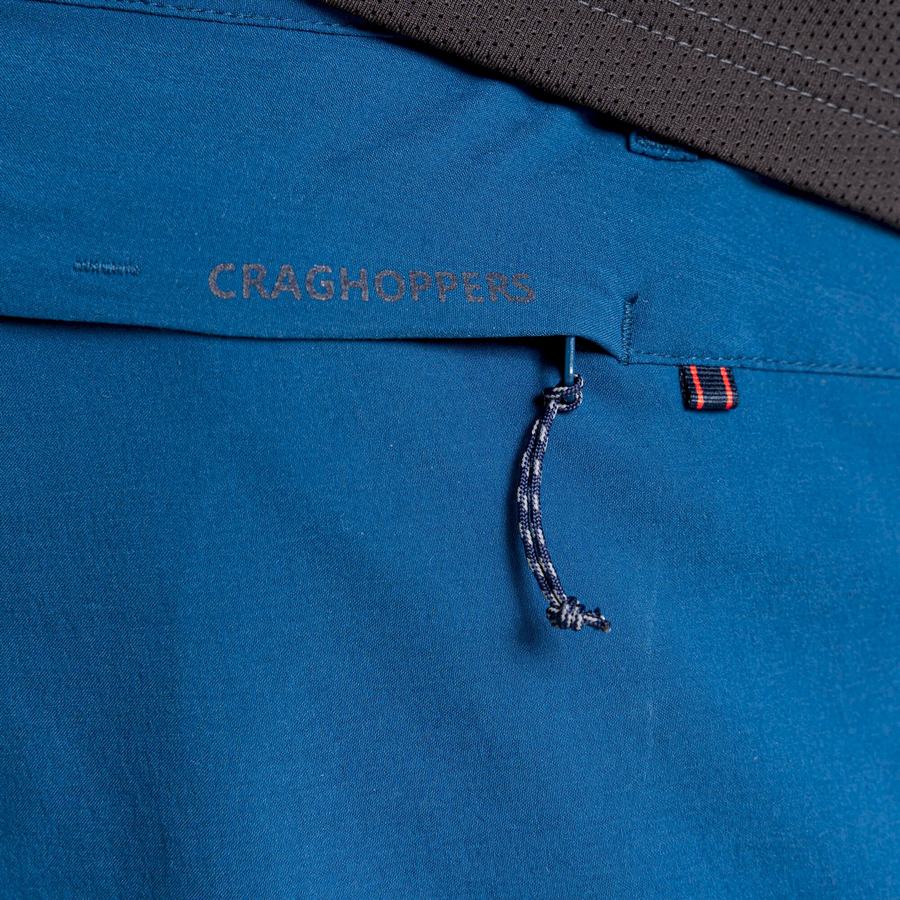 Pantalons Craghoppers NosiLife Pro Active Homme Bleu Marine Bleu | SGX3822DW