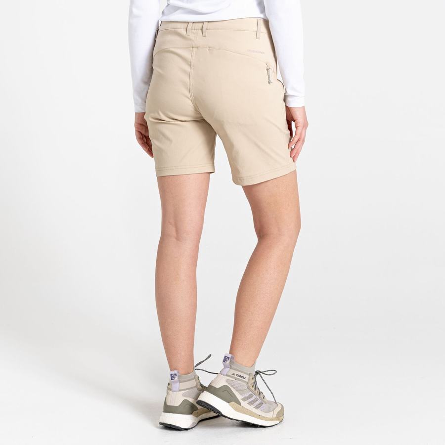 Pantalons Craghoppers Stretch Kiwi Pro III Femme Marron | SVV767IM