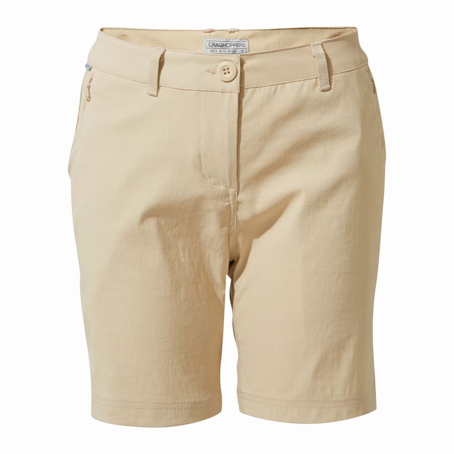 Pantalons Craghoppers Stretch Kiwi Pro III Femme Marron | SVV767IM