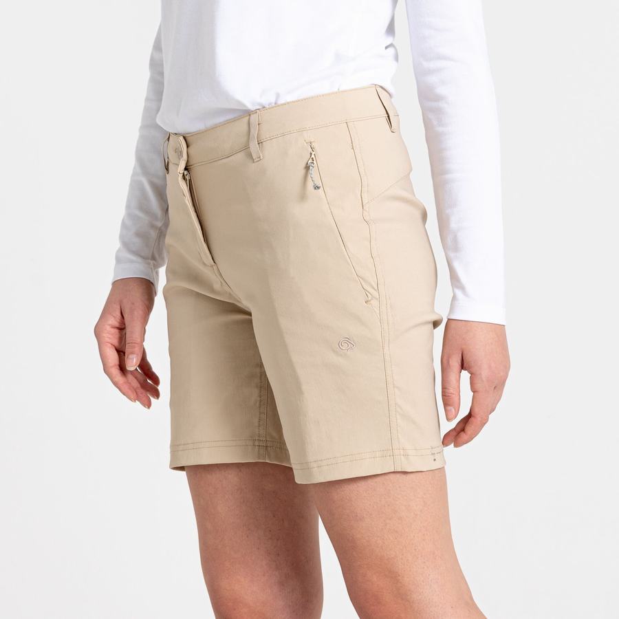 Pantalons Craghoppers Stretch Kiwi Pro III Femme Marron | SVV767IM