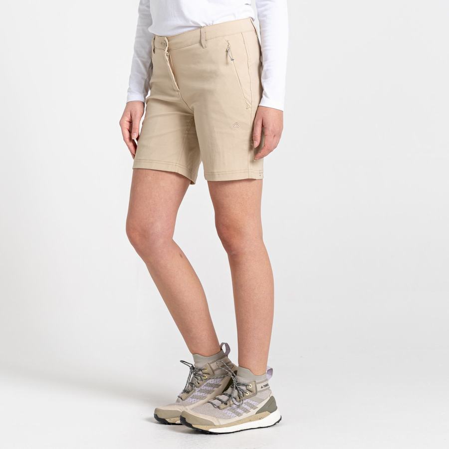 Pantalons Craghoppers Stretch Kiwi Pro III Femme Marron | SVV767IM