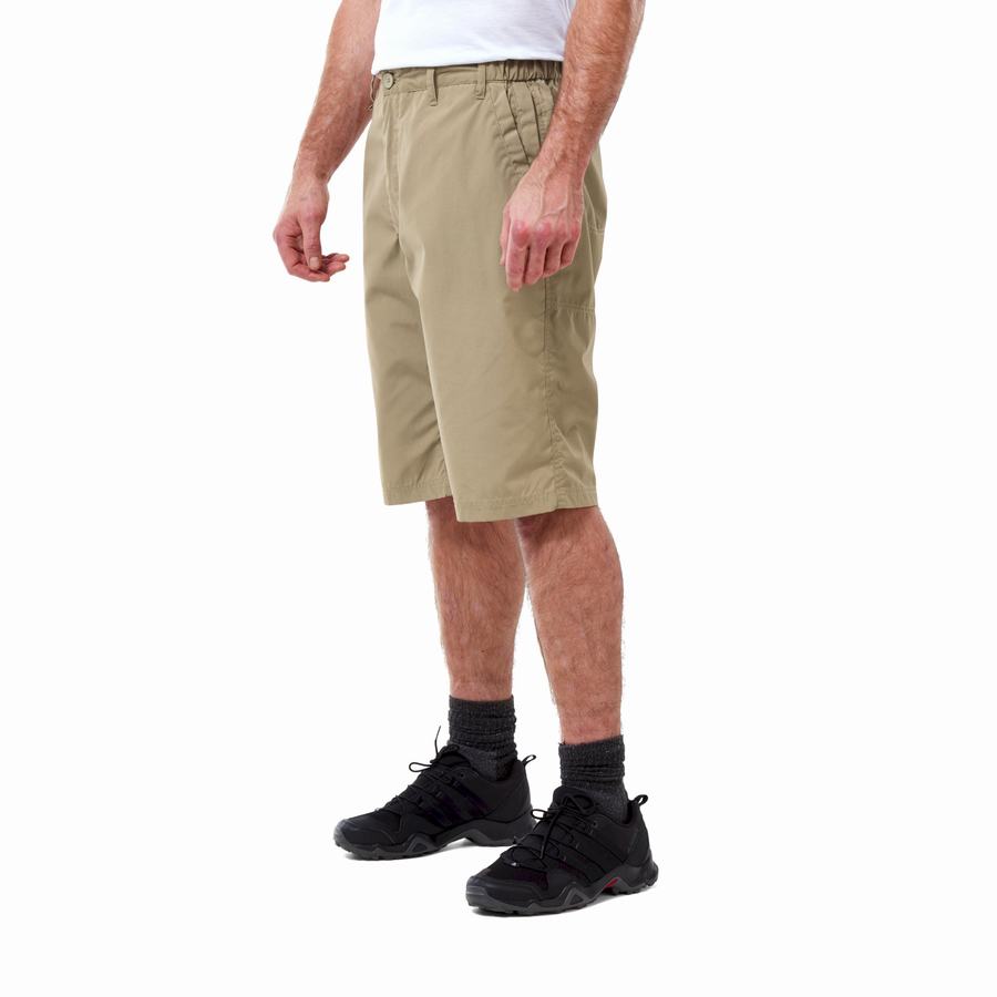 Shorts Craghoppers Kiwi Long Homme Kaki | COC428WM