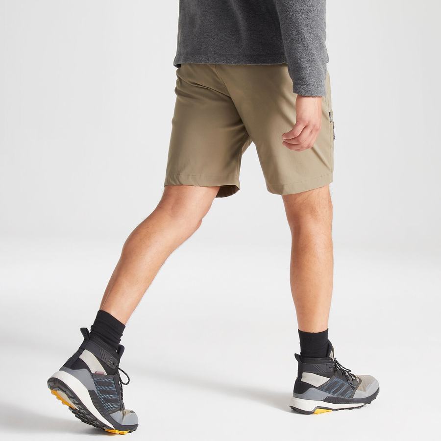 Shorts Craghoppers Kiwi Pro Homme Kaki | AWM4115HN
