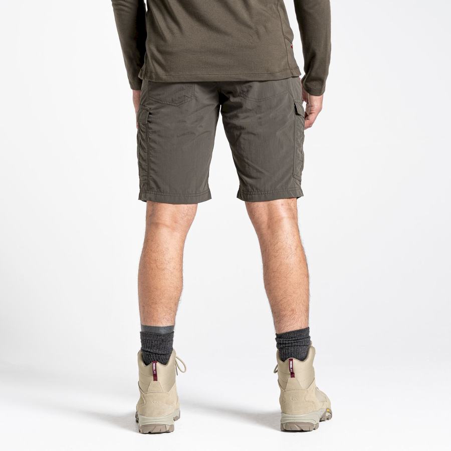 Shorts Craghoppers NosiLife Cargo II Homme Vert | ZKD7637AD