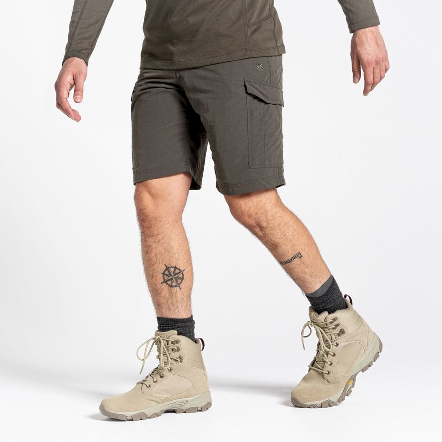 Shorts Craghoppers NosiLife Cargo II Homme Vert | ZKD7637AD
