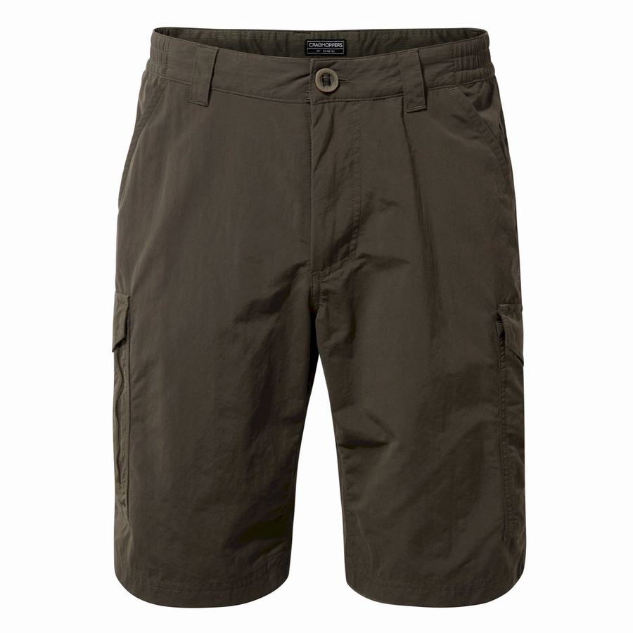 Shorts Craghoppers NosiLife Cargo II Homme Vert | ZKD7637AD