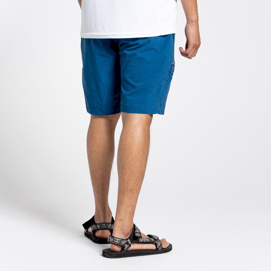 Shorts Craghoppers NosiLife Pro Active Homme Bleu Marine Bleu | WAQ8521YU