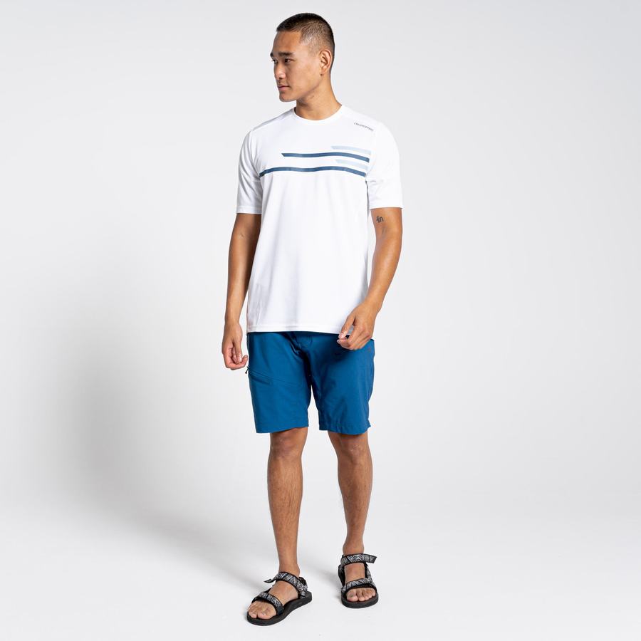 Shorts Craghoppers NosiLife Pro Active Homme Bleu Marine Bleu | WAQ8521YU