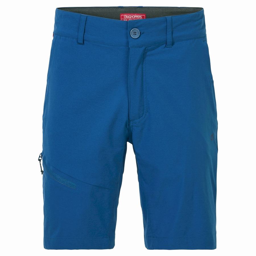 Shorts Craghoppers NosiLife Pro Active Homme Bleu Marine Bleu | WAQ8521YU