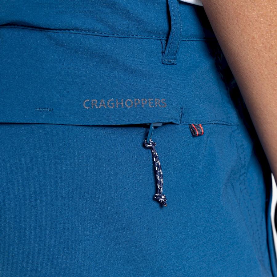 Shorts Craghoppers NosiLife Pro Active Homme Bleu Marine Bleu | WAQ8521YU
