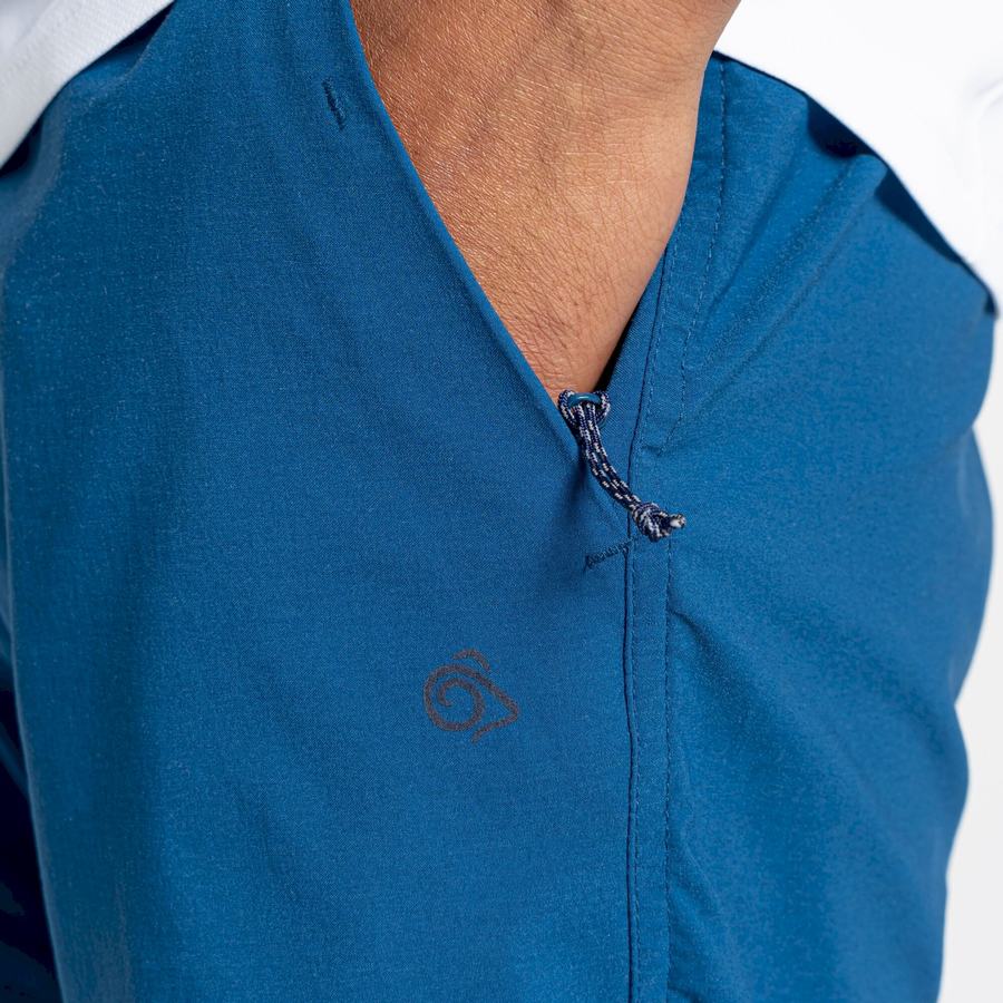 Shorts Craghoppers NosiLife Pro Active Homme Bleu Marine Bleu | WAQ8521YU