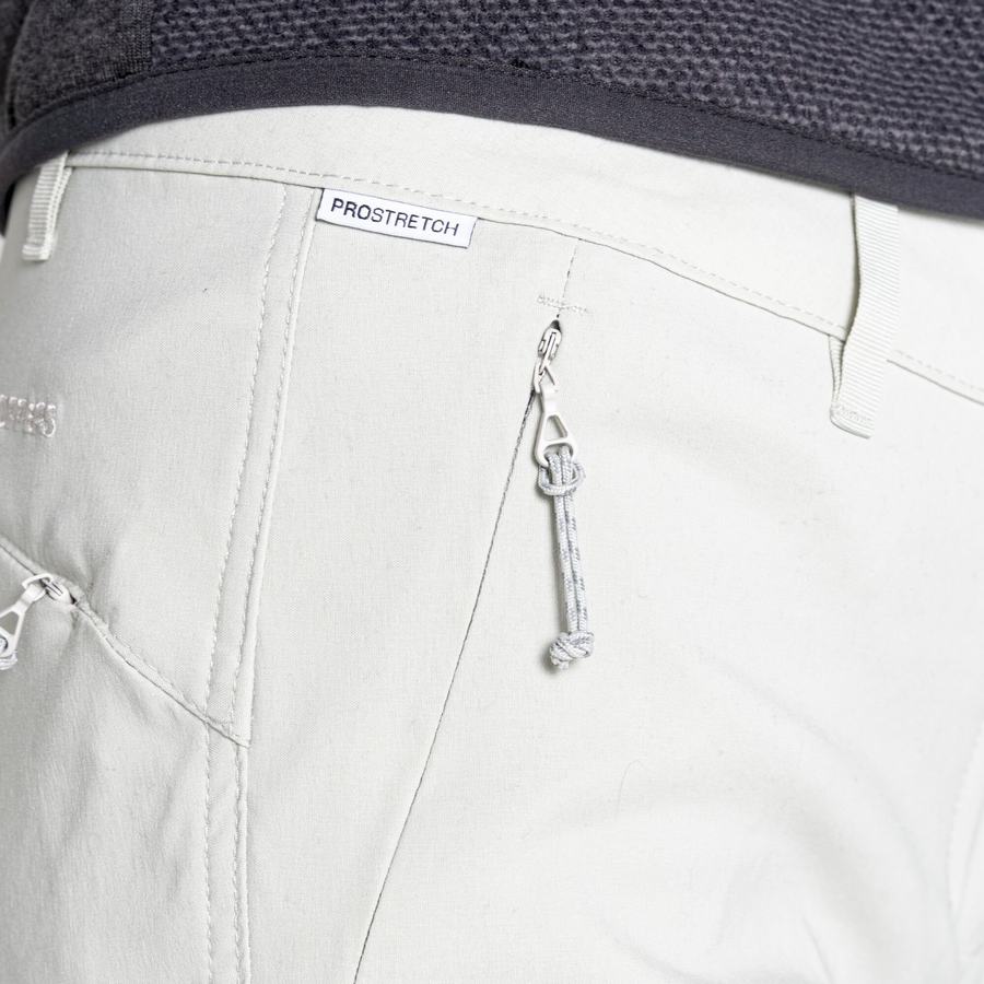 Shorts Craghoppers Stretch Kiwi Pro III Femme Grise | FAO884SJ