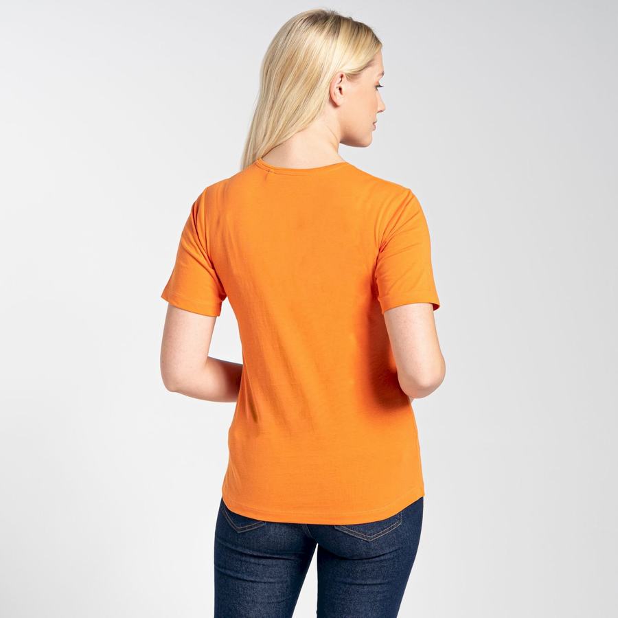 T Shirts Craghoppers Ally Corta Sleeved Femme Orange | BNF7921MD