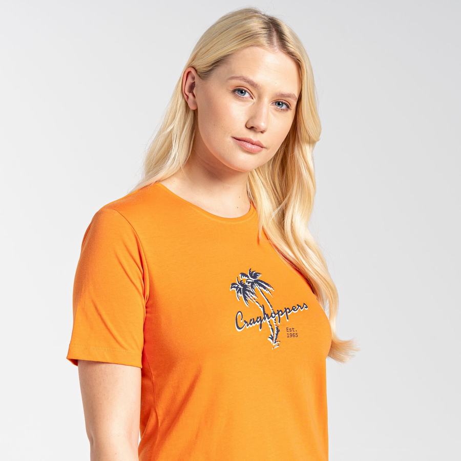 T Shirts Craghoppers Ally Corta Sleeved Femme Orange | BNF7921MD