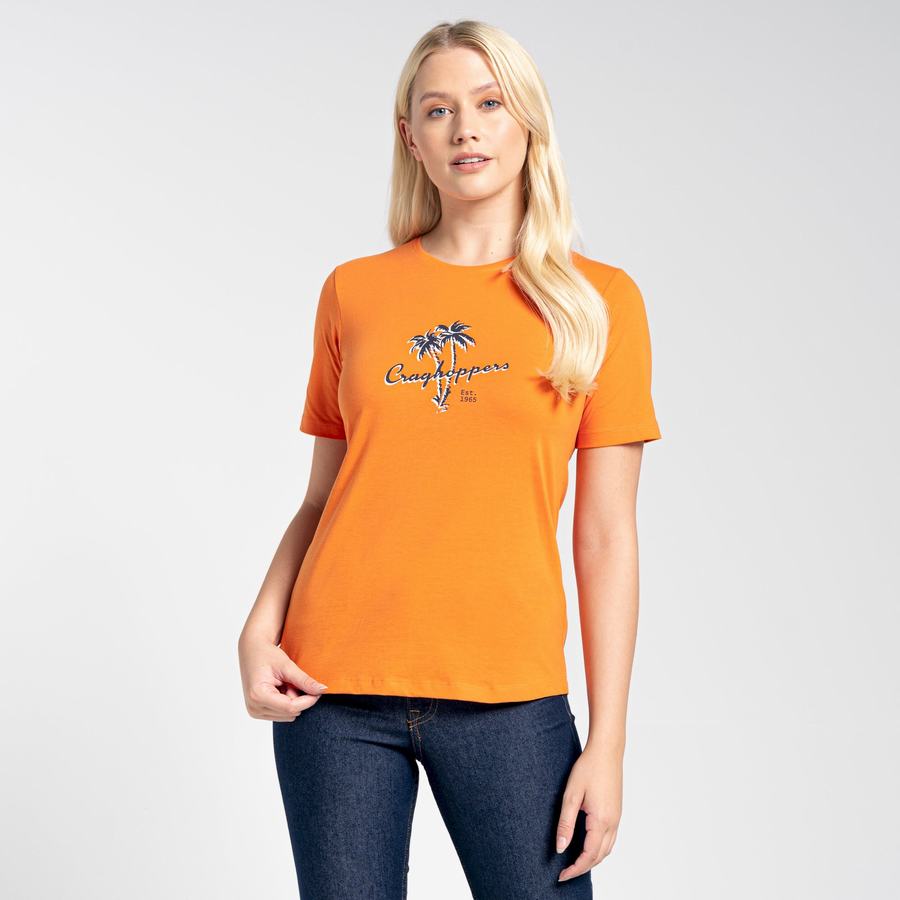 T Shirts Craghoppers Ally Corta Sleeved Femme Orange | BNF7921MD