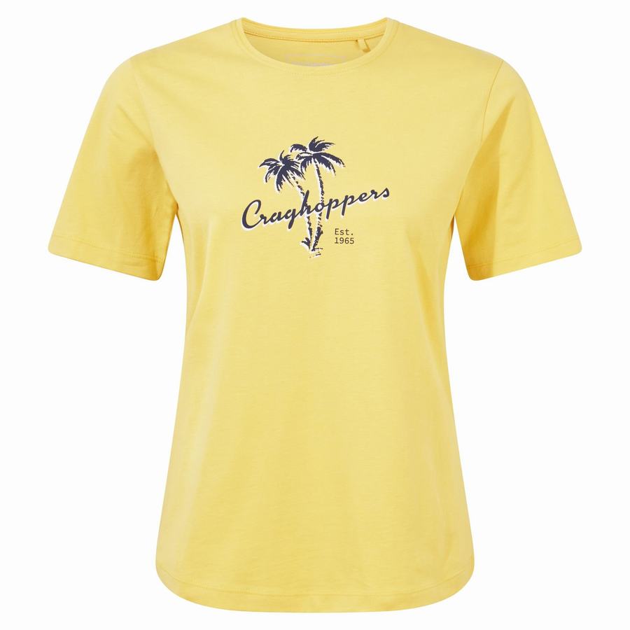 T Shirts Craghoppers Ally Corta Sleeved Femme Jaune | ISL2867FW