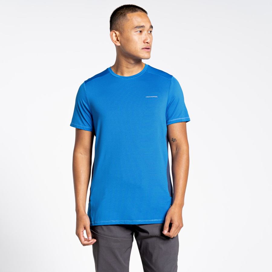 T Shirts Craghoppers Atmos Corta Sleeved Homme Bleu | SPB3730LZ