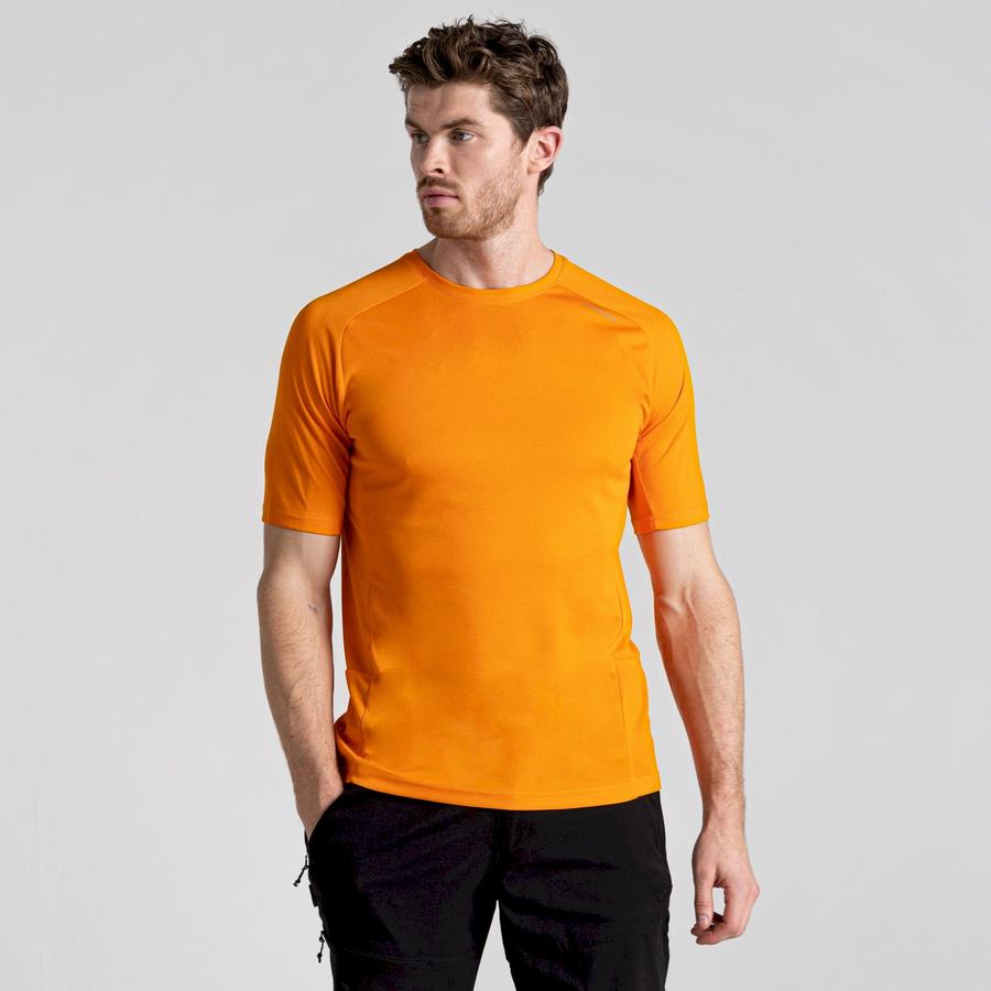 T Shirts Craghoppers Dynamic Pro Corta Sleeved Homme Orange | SUS6265CX