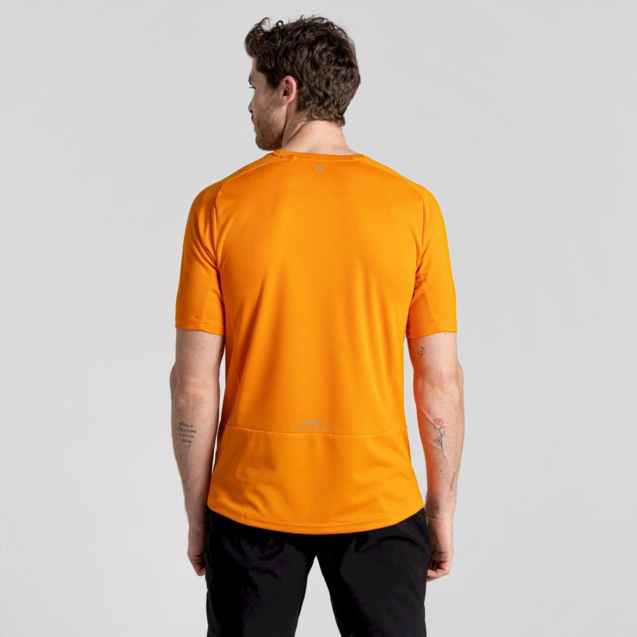 T Shirts Craghoppers Dynamic Pro Corta Sleeved Homme Orange | SUS6265CX
